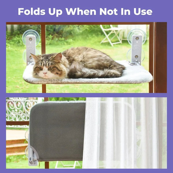 Cat Window Hammock & Cat Stick